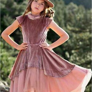 Joyfolie Mia Joy Babette Dress in mauve, size 10. Velvet over satin, underskirts